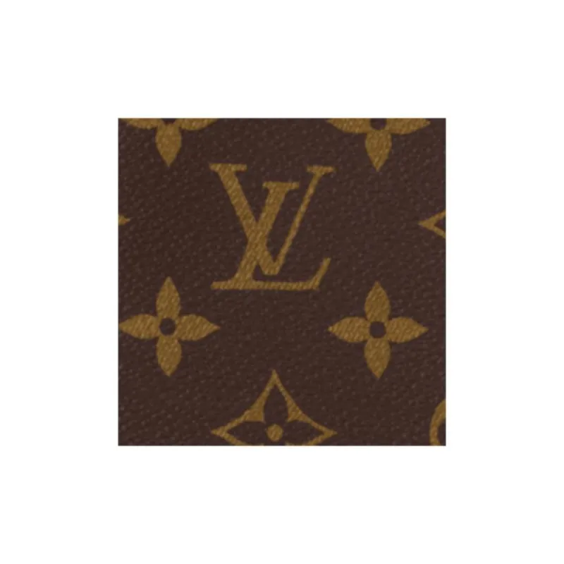 LOUIS VUITTON Colormania Coated Canvas Passport Holder Men's Yellow & Brown-3