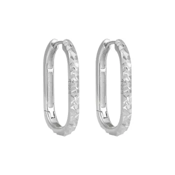 KiNGZiT S925 Silver Earrings Women's
