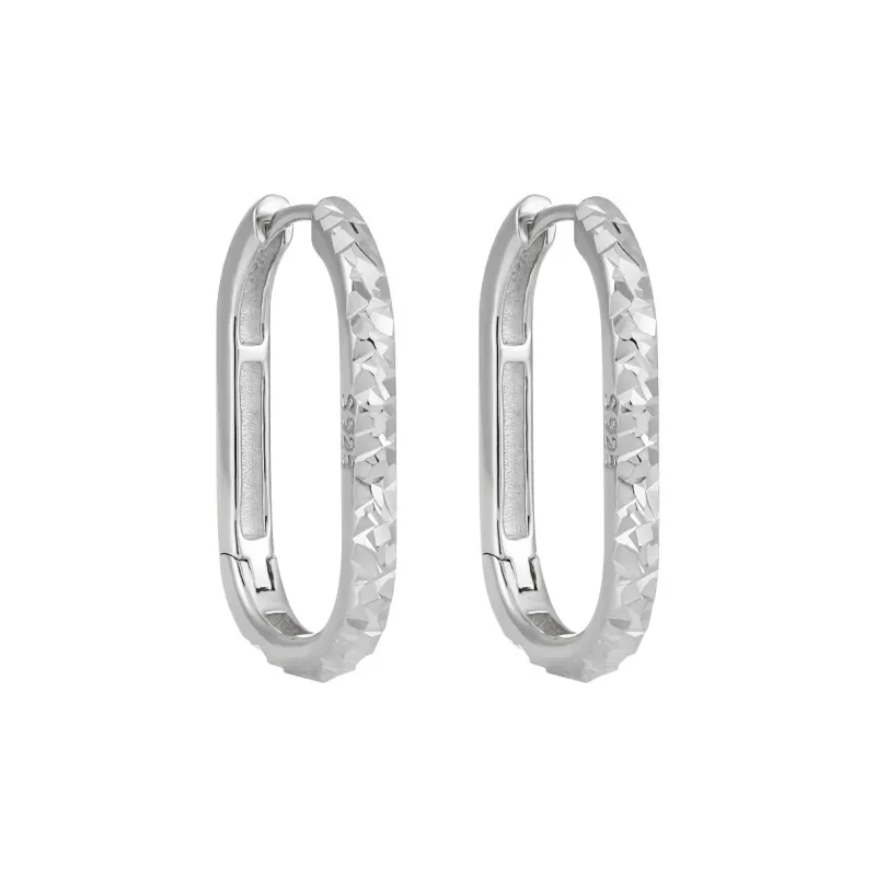 KiNGZiT S925 Silver Earrings Women's-0