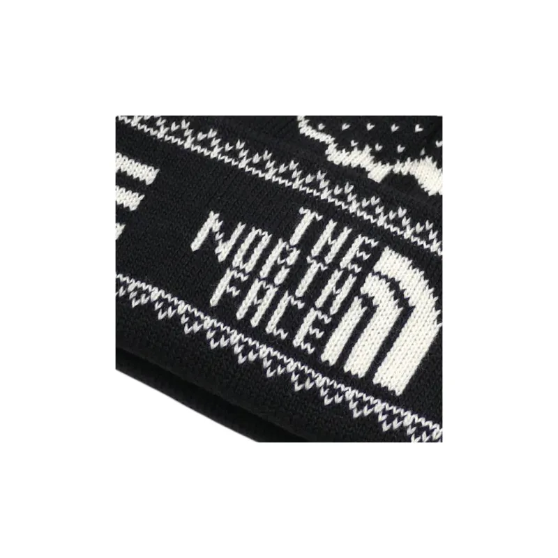 Supreme The North Face Fold Beanie-2