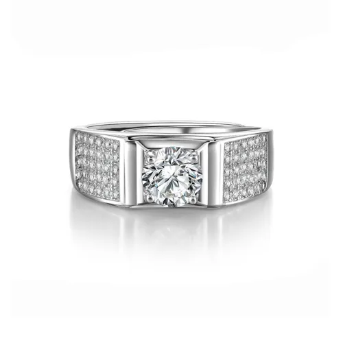 JINLIUFUJIXIANG Moissanite Collection S925 Silver Rings Men's