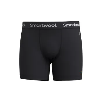 SMARTWOOL Underpants Men's 1 Pack Black