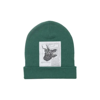 Supreme The North Face Beanie FW24