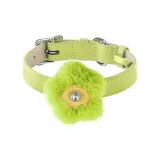 [Bamboo Green]Floral Plush Accessories & Bamboo Green Collar