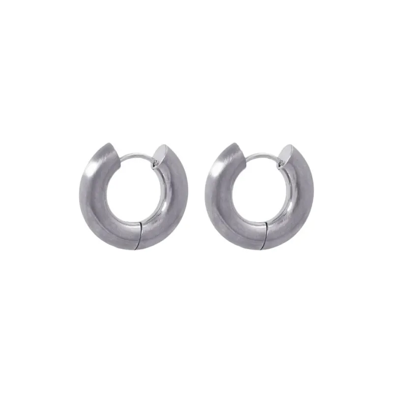 ANARTXY Surgical Steel Earrings Women's Gold/Silver-1