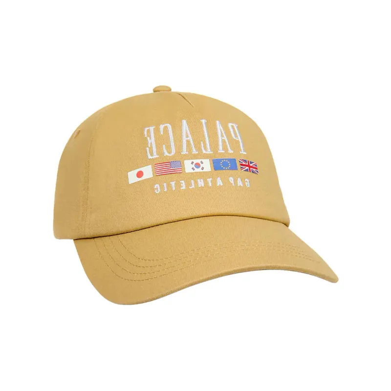 PALACE X Gap Flag 6 Panel-2
