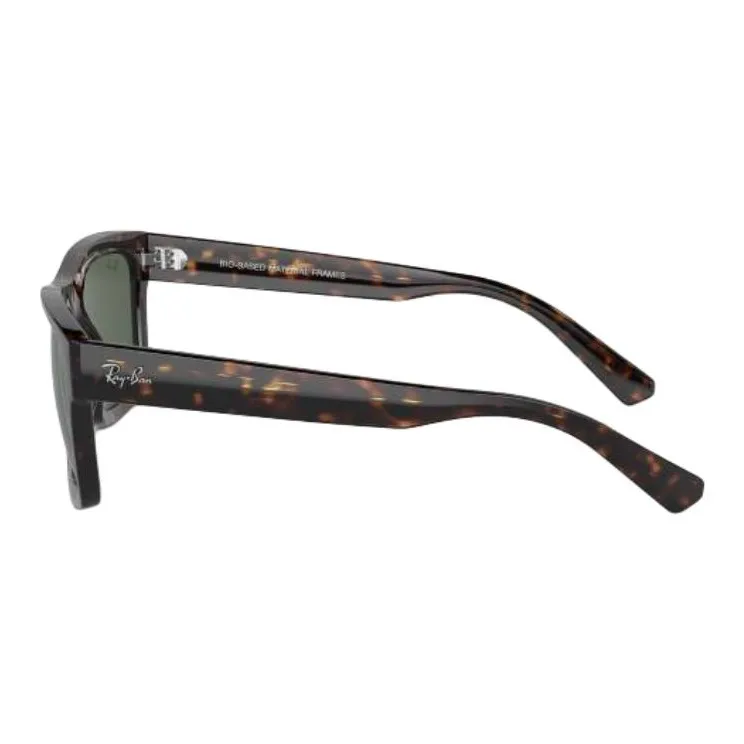 RayBan Warren Sunglasses-2