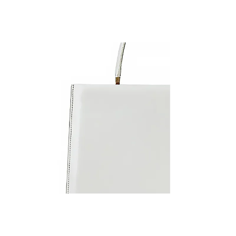 CELINE Clasp Handbags-1