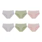 6 Pack-Green 2+Pink 2+Gray 2