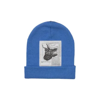 Supreme The North Face Beanie FW24