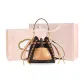 Apricot (Box)
