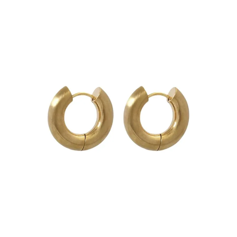 ANARTXY Surgical Steel Earrings Women's Gold/Silver-0