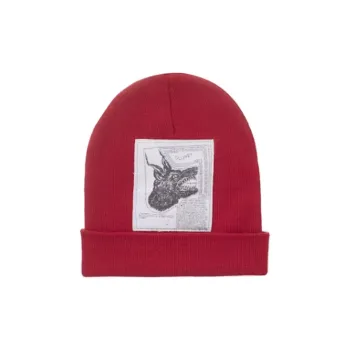 Supreme The North Face Beanie FW24