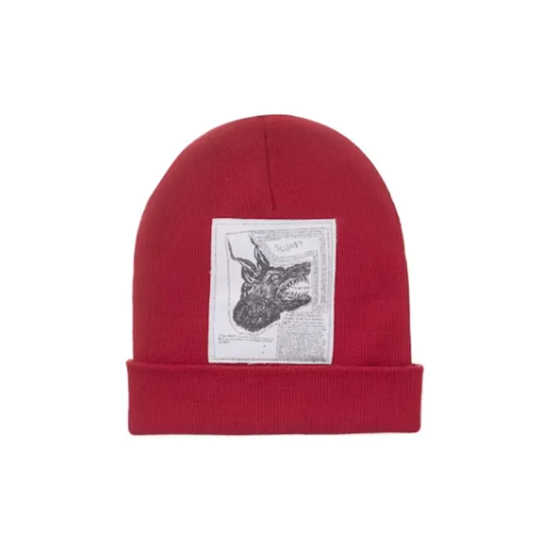 Supreme The North Face Beanie FW24-0