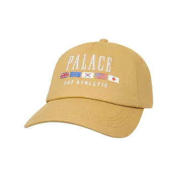 PALACE X Gap Flag 6 Panel