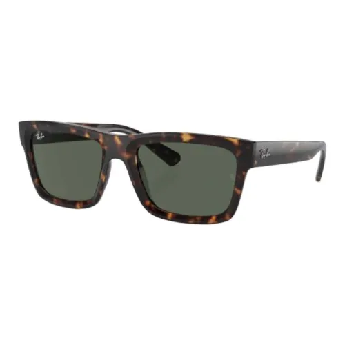 RayBan Warren Sunglasses
