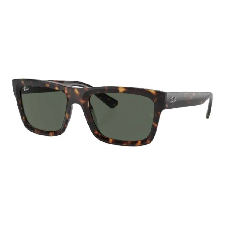 RayBan Warren Sunglasses-0