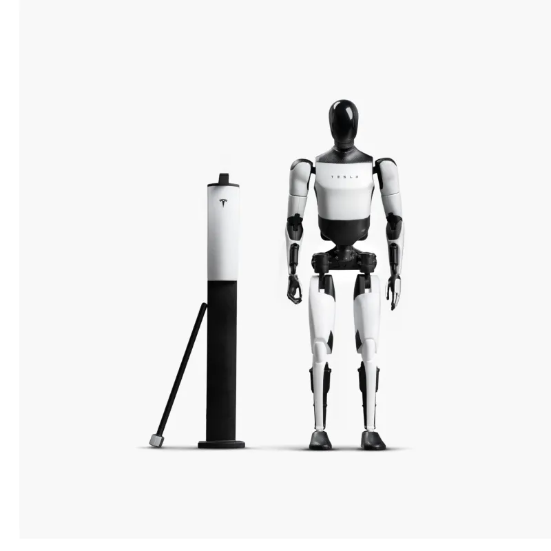 Tesla Bot Ornament Humanoid Robot Hobby Model Scale Figures 18.2cm-1