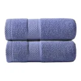 Blue Towel 2 Pack