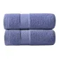 Blue Towel 2 Pack