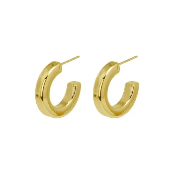 ANARTXY Surgical Steel Earrings Women's Gold