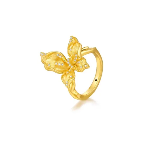 Welcome To The Treasure Alloy Rings Unisex Gold
