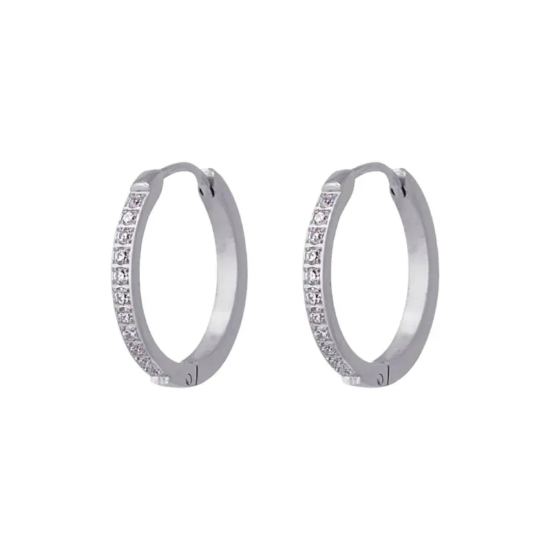 ANARTXY Surgical Steel Zircon Earrings Women's Gold/Silver-1