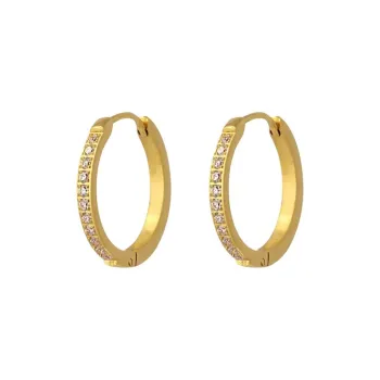 ANARTXY Surgical Steel Zircon Earrings Women's Gold/Silver