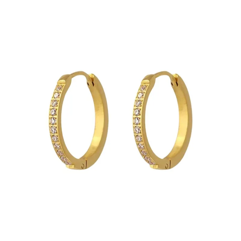 ANARTXY Surgical Steel Zircon Earrings Women's Gold/Silver-0