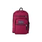 Dark Purple Burgundy