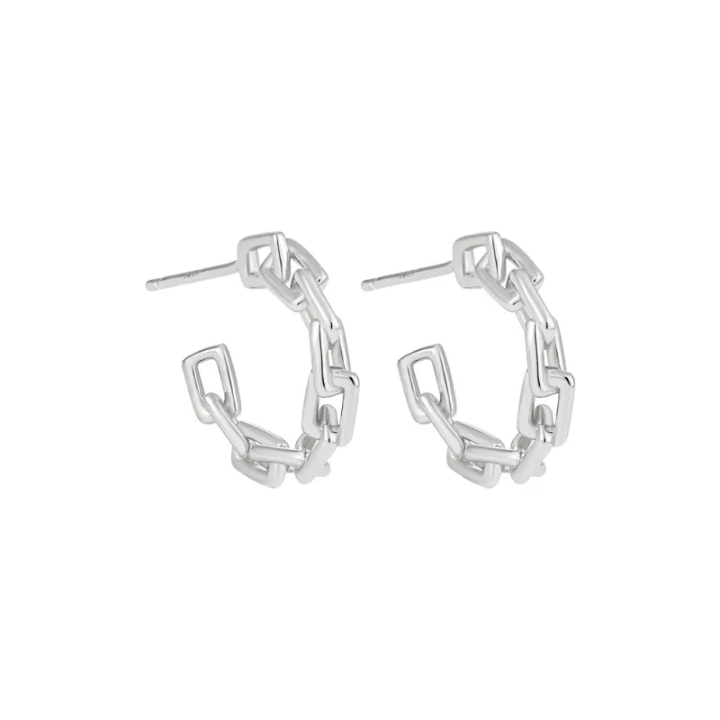 KiNGZiT S925 Silver Earrings Women's-0