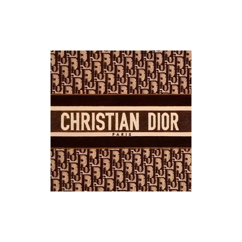 DIOR BookTote Velvet Totes Handbags Large Size Women's Brown-3