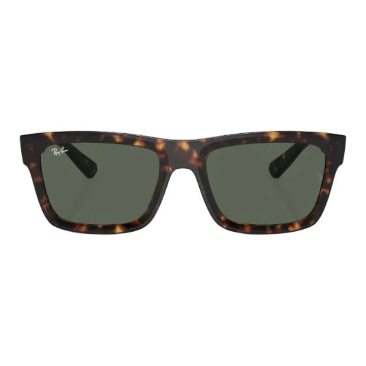 RayBan Warren Sunglasses-1