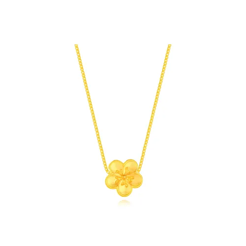Fortune Gold S925 Necklaces Unisex