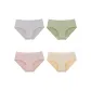 4 Pack-Pink+Skin+Gray+Green