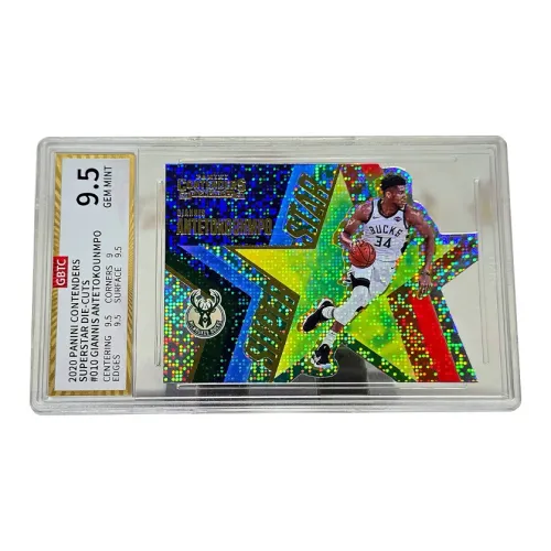PANINI Graded Cards