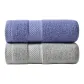 2 Pack (Blue Towel *1, Light Towel *1)