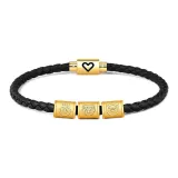 Chinese Zodiac Goat (Rabbit, Goat, Pig) Black