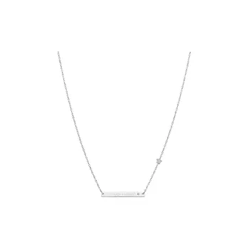Mr Wonderful Stainless Steel Necklaces Women's Silver