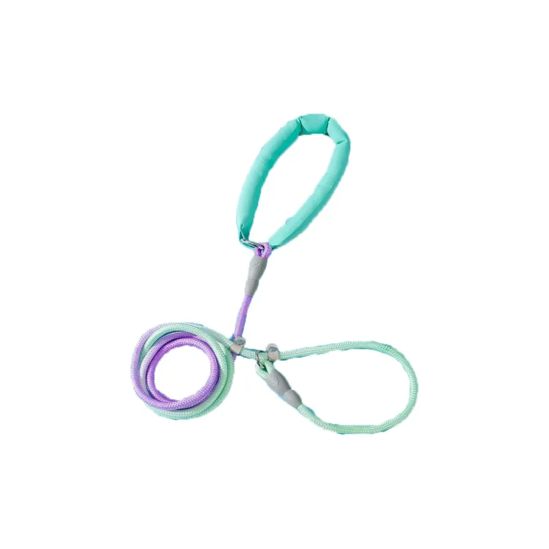 Hippie dogs Leashes-3
