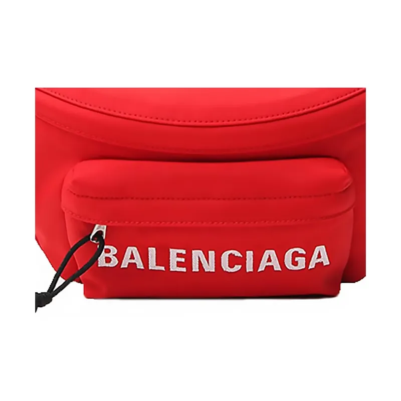 Balenciaga Fanny Packs-3