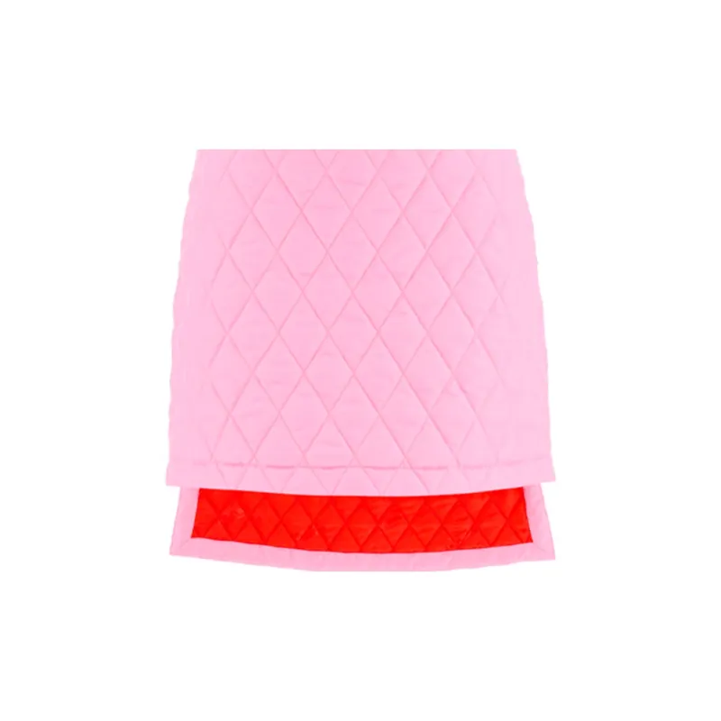 Burberry Casual Short Skirts Women's Pink-4