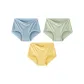 [3 Pack]Blue+Light Green+Ginger Yellow