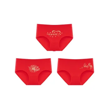 Ordifen Underpants Women's 3 Pack
