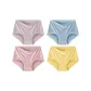 [4 Pack]Purple Gray+Blue+Cameo Brown+Ginger Yellow