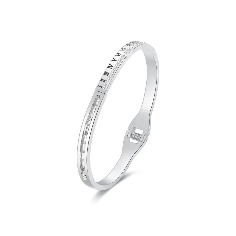 DH7 Titanium Steel Bangles Unisex-0