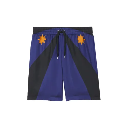 Burberry Silk Shorts