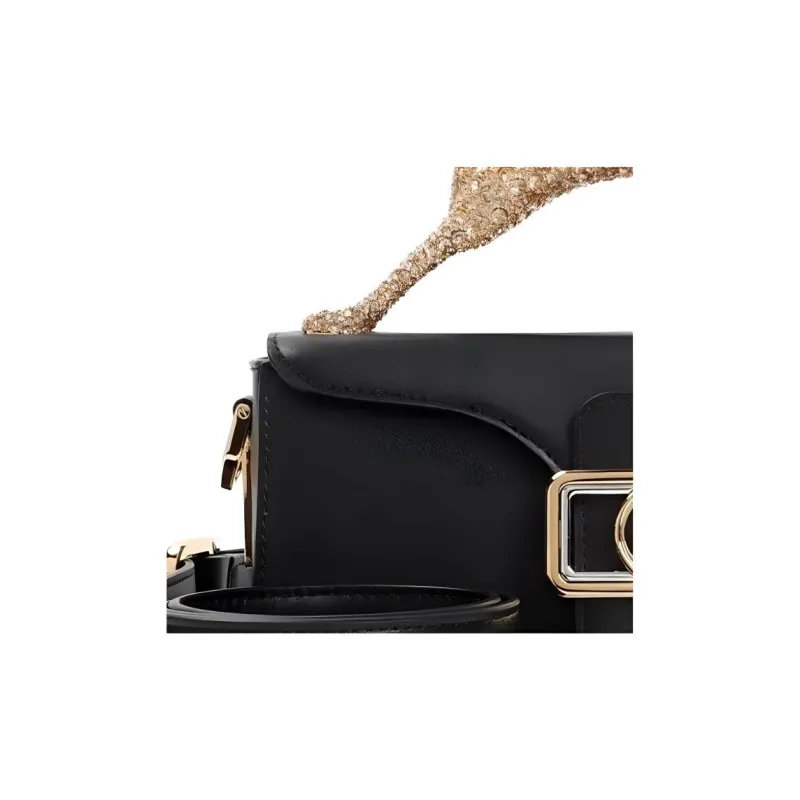 Lanvin Calfskin Shoulder Bag Crossbody Bag Handbag Small Size Women's Black-4