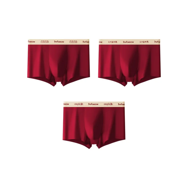 MIIOW Underpants Men's Combo Set-2