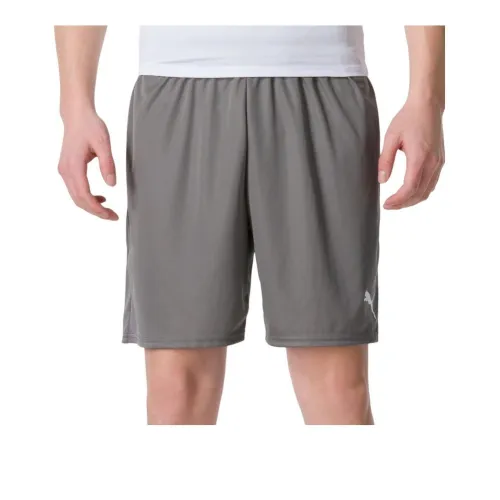 PUMA Casual Shorts Men Gray